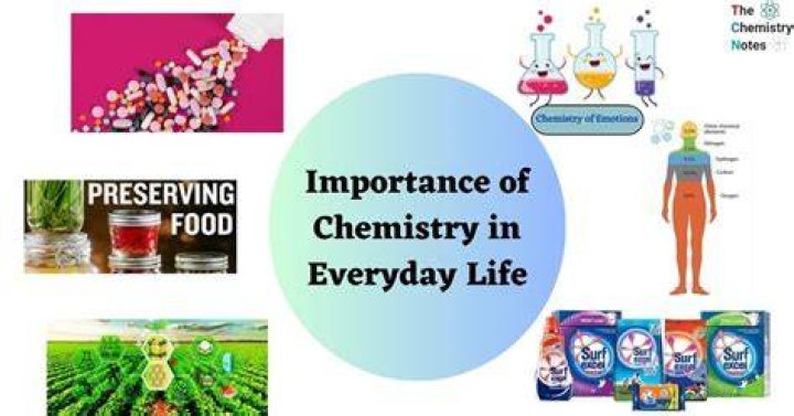 Which Statement: Understanding the Importance and Impact in Everyday Life