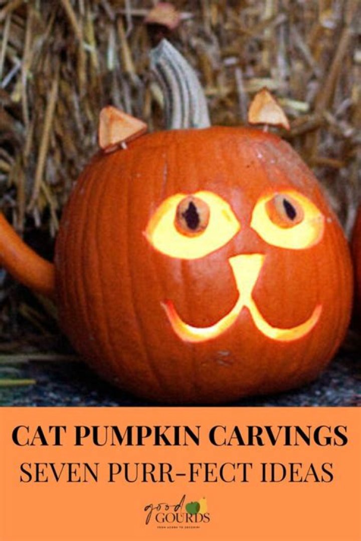 Whiskers & Jack-o'-Lanterns: The Art of Cat Pumpkin Carving