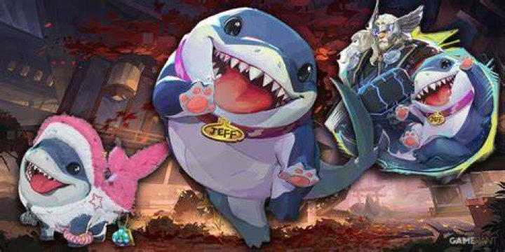 Who's the Shark Jeff from Shark Tank? A Deep Dive into the Newest Shark