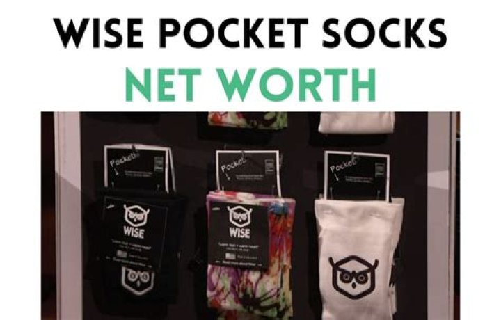 Wise Pocket Socks Net Worth: A Deep Dive into the Success Story