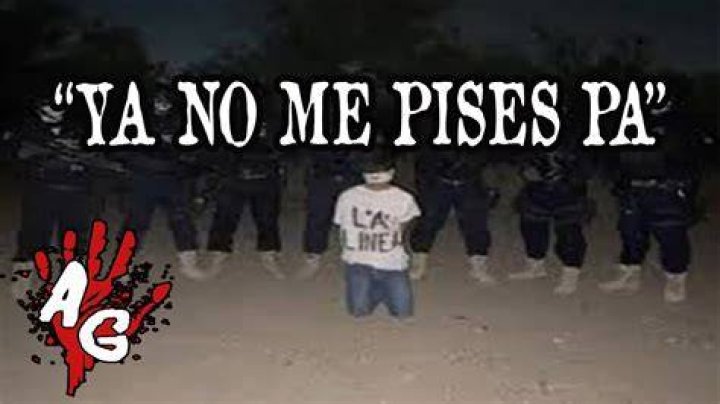 Ya No Me Pises Pa' Gore: A Deep Dive into the Cultural Impact of the Song